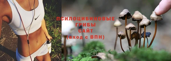 таблы Лиски
